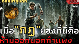 กฏของที่นี่คือ "ห้ามออกนอกกำแพง" สปอยหนัง The Maze Runner (2014)