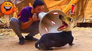 Super Horn vs Prank Dog Sleeping Make You Laugh Till Stun