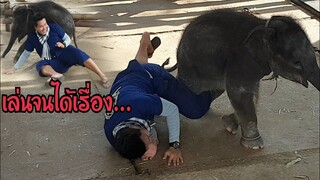 พ่อหมดแรงเล่นกับน้องตะวันแล้วนะลูกขี้เล่นดีจังเล่นได้ทั้งวัน