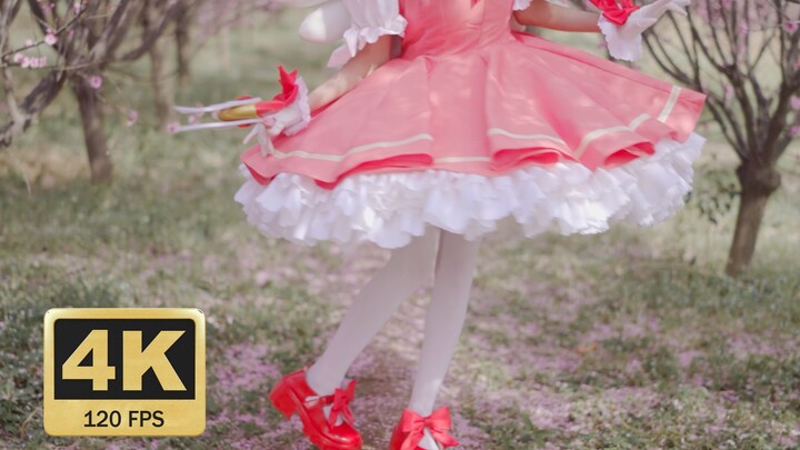 【4K 120FPS】Bạn có thích Sakura lật váy không? Tận hưởng sự êm ái mượt mà