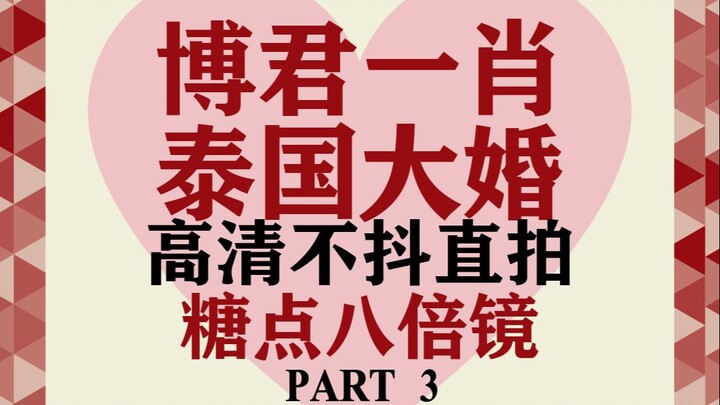 【博君一肖】泰国大婚高清不抖直拍（糖点八倍镜）PART3良心21分钟！！超甜必看！！！