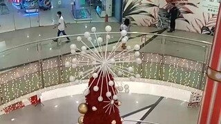 oh Christmas 🎄 TREE