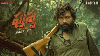 Pushpa - The Rise Part 1 (2021) (Hindi + Telugu)