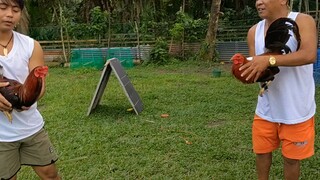 Allen Roundhead from Mayor Nene Aguilar VS AEJ's Golden Boy