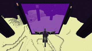 Can the ender dragon enter hell through a portal?