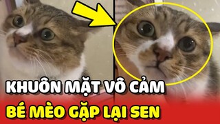 Hoàng Thượng với KHUÔN MẶT VÔ CẢM sau 6 tháng GẶP LẠI cô chủ của mình 😂 | Yêu Lu