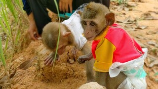 Little Toto & Yaya are happy exploring & learning the new thing when visiting outside together