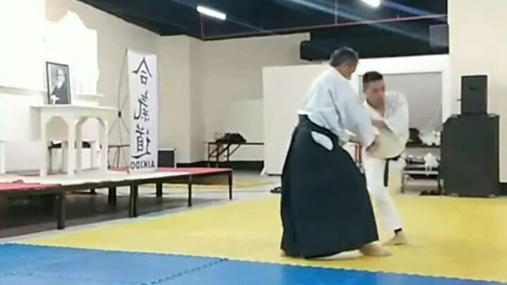 Aikido Shihonage technique.