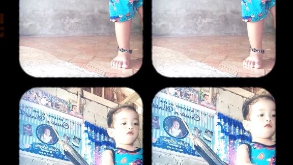 baby shark