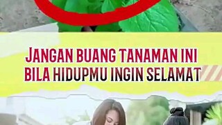 Semoga bermanfaat