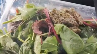 The vegetables bought at school still move