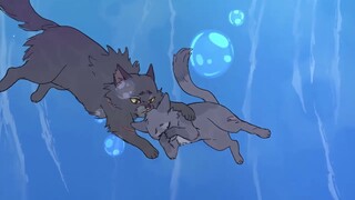 This Could be a Dream//Unfinished//Cinderpelt AMV