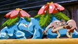 Trận chiến CAM GO giữa Bản gốc và Bản sao Pokemon