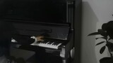 【Cat Hoof】 Piano ngẫu hứng | Với điểm số đơn giản | Jannik "The History"