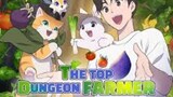 The Top Dungeon Farmer 25