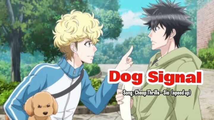 Dog Signal 🔥 Song : Cheap Thrills -  Sia   (speed up)