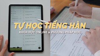 🇰🇷 Mình Tự Học Tiếng Hàn Như Thế Nào Trong Một Năm Vừa Rồi? | Khóa Học Online & Phương Pháp Học