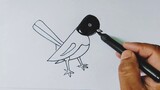 B দিয়ে সহজে দোয়েল পাখি আঁকা শিখুন। Easy Magpie drawing