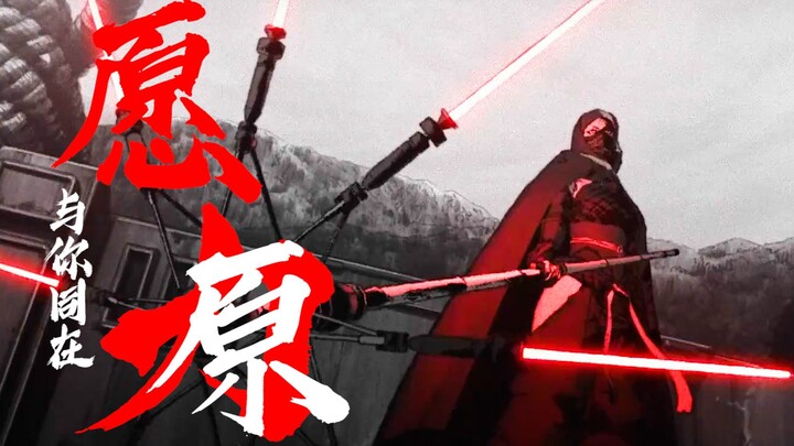 愿原力与你同在！【星球大战：幻境 Star Wars Visions】