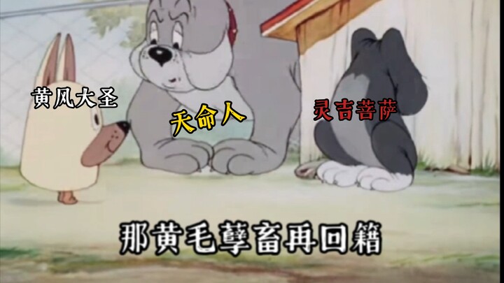 ⚡️黄风岭，八百里！耗子都会架大狙⚡️