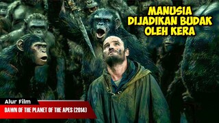 DISAAT MANUSIA DIPAKSA TUNDUK PADA KERA | ALUR CERITA FILM