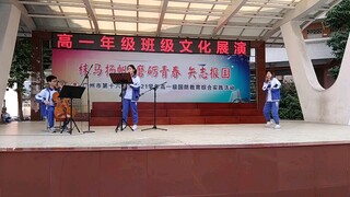 【SEVENTEEN cover】次粉高中生翻跳&翻弹SEVENTEEN《Fallin′flower》？！管弦乐与舞蹈！次人不让次粉活系列