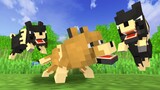 Monster School: R.I.P Dog - Poor Dog and Sad Life | Minecraft Animation