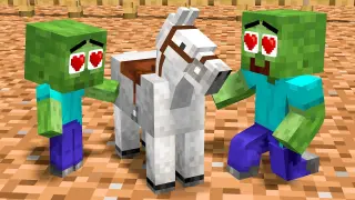 Monster school : Baby Zombie Best Friend Is A Horse - Sad Story - Minecraft Animation