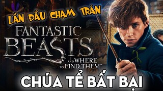 Tất Cả Những Gì Đã Xảy Ra Trong FANTASTIC BEASTS AND WHERE TO FIND THEM | Harry Potter Series