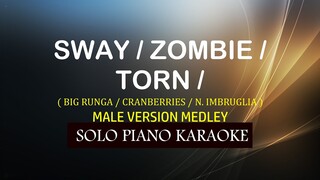 SWAY / ZOMBIE / TORN ( MALE VERSION MEDLEY ) ( BIG RUNGA / CRANBERRIES / NATALIE IMBRUGLIA )