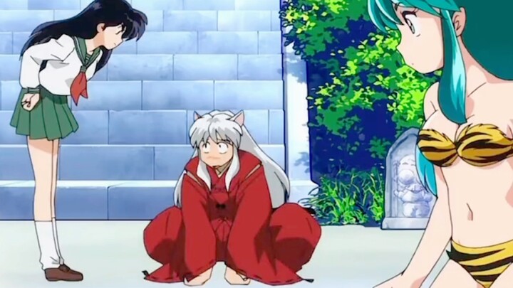 A dream collaboration between InuYasha, Ranma and Lucky Boy!