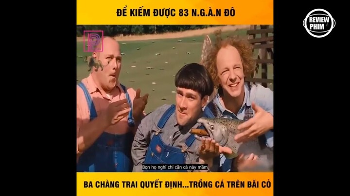 Review Phim Hay Nhất - Ba Chàng Ngốc