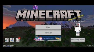 Finally My House Is Done (Minecraft Live Stream)