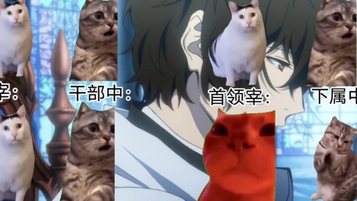 【Cat meme】Leader Zai: I'm broken