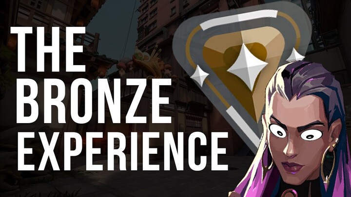 The Bronze Experience | Valorant Highlights