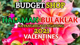 PANREGALONG MGA HALAMAN AT BULAKLAK NGAYONG 2021 | 2021 FEB-IBIG NG MGA PLANTITO'S AT PLANTITA'S |