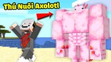 Minecraft nhưng bạn sở hữu Thú Nuôi Siêu Axolotl