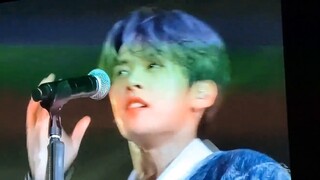 The eight ACEs can only play backing vocals for the fans?!