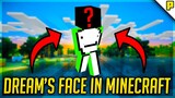 I made Dreams face in minecraft