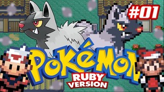 Pokémon Ruby #01 - Cuidado, Poochyena!