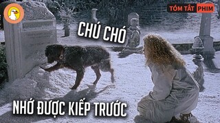 Đầu Tha i Thành 1 Chú Chó, Nhưng Vẫn Nhớ Được Kiếp Trước Của Mình |Quạc Review Phim|