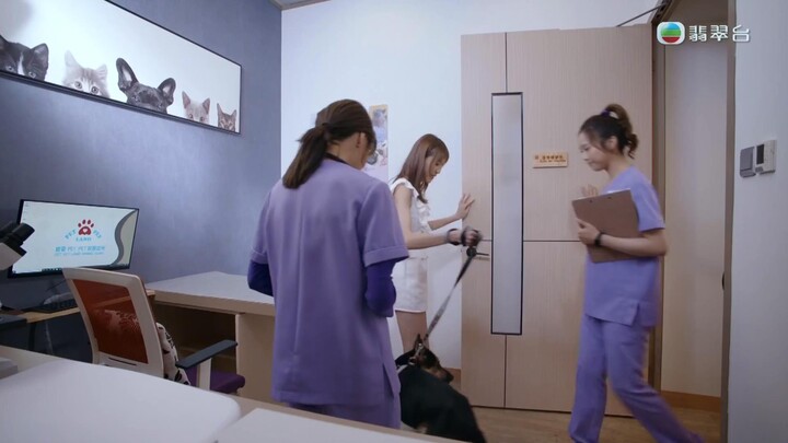 Chó Cưng Của Tôi EP 19 [Sub Việt]