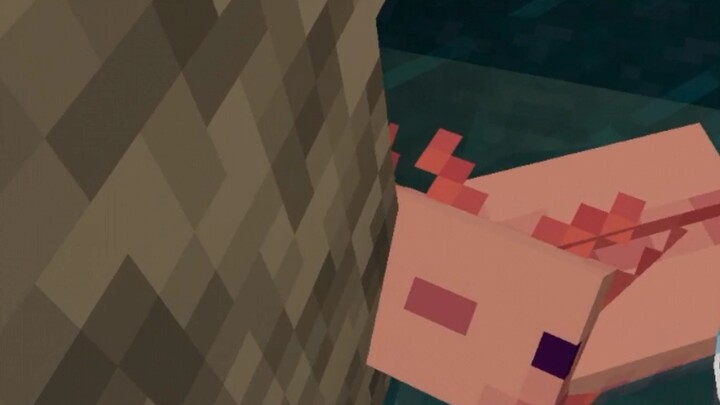 Yukari Yakumo Newt in Minecraft