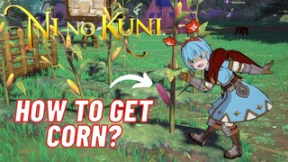 NI NU KUNI GUIDE : PAANO MAKAKUHA NG CORN?