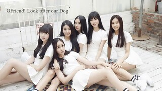 GFriend! Look after our Dog Ep 1
