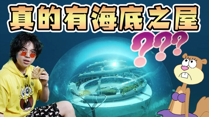 Ngôi nhà của Sandy trong "SpongeBob SquarePants" có thực sự khả thi không?