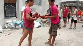 lose tayo dito mga boss bawi bawi lang