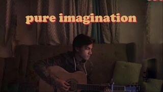 pure imagination cover