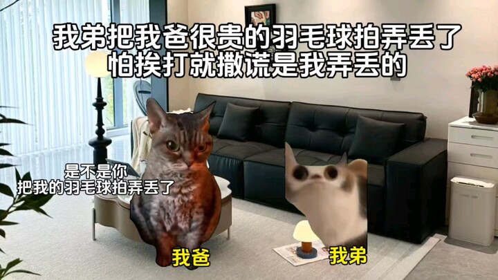 【猫meme】我爸冤枉我，我选择直接发疯