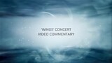BTS: Wings Tour Concert Commentary